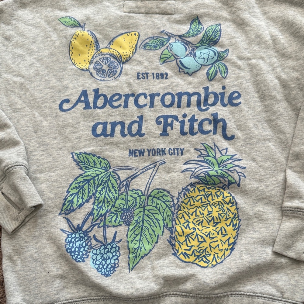 Abercrombie & Fitch Kids Gray Sweatshirt with Fruit Graphics